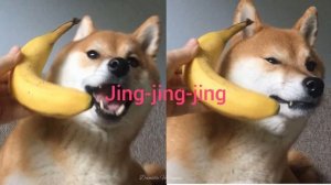 🍌 Raffi - Banana Phone 🍌 | traducción al español