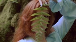 Люблю тебя  Трек – Александр Старостенко