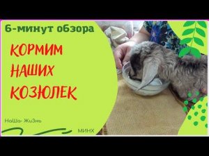 Кормим наших козюлек