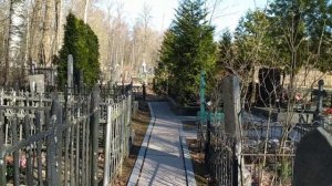Как найти могилу родителей Владимира Путина на Серафимовском кладбище Петербурга