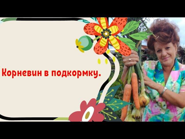 Корневин в подкормку.