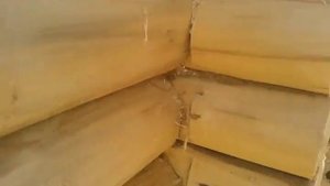 Высота потолков в бане из сруба №50