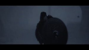 Трейлер Viking Rise x Peyton Parrish (Viking Rise)