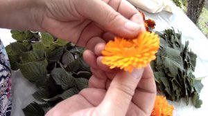 Заготавливаем ЧАЙ на зиму. Чай из листьев МАЛИНЫ, МЯТЫ, СМОРОДИНЫ. Делаем домашний чай из трав