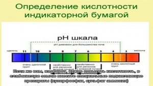 Как нормализовать кислотность почвы — определяем рН дачного грунта