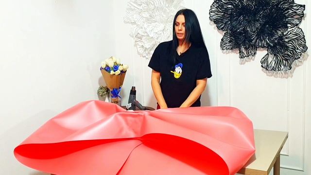 ГИГАНТСКИЙ БАНТ ИЗ ИЗОЛОНА смотреть онлайн