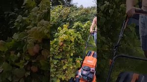 Работа газонокосилки Скипер