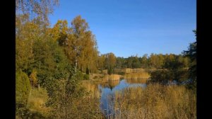 Мы только знакомы. Романс. Поет и аккомпанирует Татьяна Роос