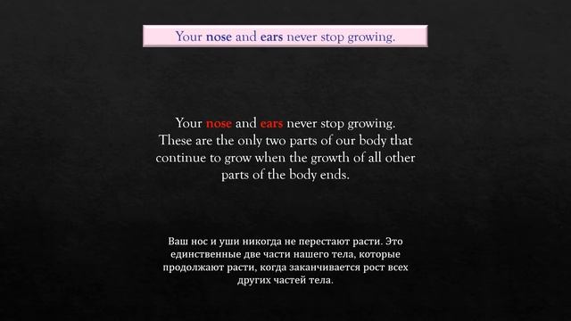 DID YOU KNOW? Удивительные факты обо всем! На Английском языке! смотреть онлайн