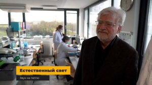 Обзор Sony A6100