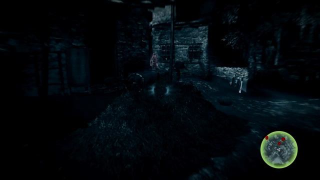 Assassin's Creed Revelations - серия #2 [Первые проблемы]