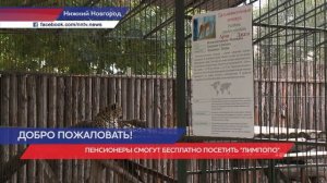 Пенсионеры смогут бесплатно посетить зоопарк «Лимпопо» 1 октября в Нижнем Новгороде