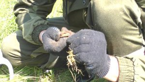 КОП возле заброшенной ЦЕРКВИ с кладбищем