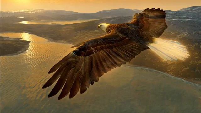 Ансамбль Сувар - Зов орла (лезгинская мелодия) смотреть онлайн