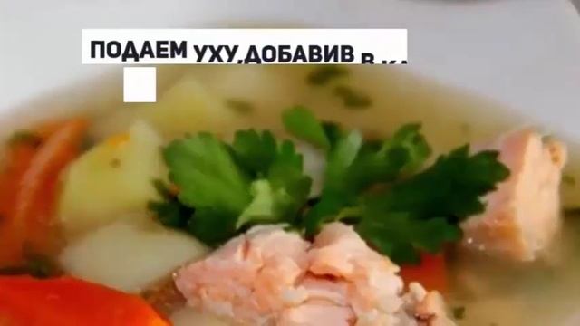 УХА ИЗ КРАСНОЙ РЫБЫ.Как приготовить уху. смотреть онлайн