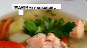 УХА ИЗ КРАСНОЙ РЫБЫ.Как приготовить уху.
