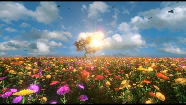 Усыпляющее видео для сна | Релаксация и медитация, без музыки смотреть онлайн