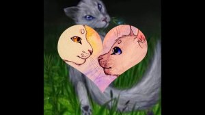 Буран и Синеглазка