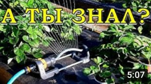 ДОЖДЕВАТЕЛЬ - отличный помощник для полива???