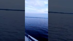 Sea Pro F9.9S NEW винт с шагом 7 1/2.