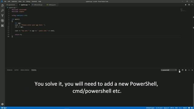 code runner console input error (vscode, c++)