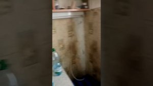 Средство от тараканов.
