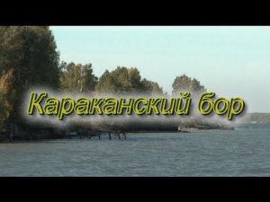 Караканский бор