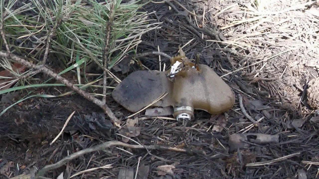 Украинские националисты обстреливают Донецк зарядами с запрещенными противопехотными минами