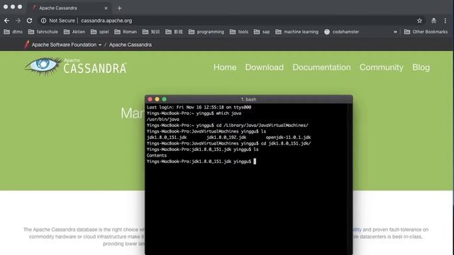 Solve Cassandra DataStax DevCenter freezing by start problem смотреть онлайн