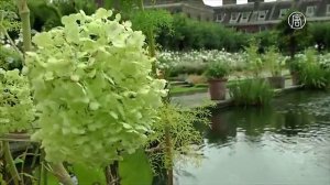 В память о Диане сад Кенсингтонского дворца усыпали белые цветы (новости)