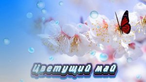 Футаж. Цветущий май 1