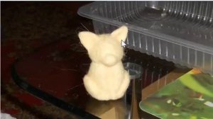 Собачка Микс за один вечер.mp4