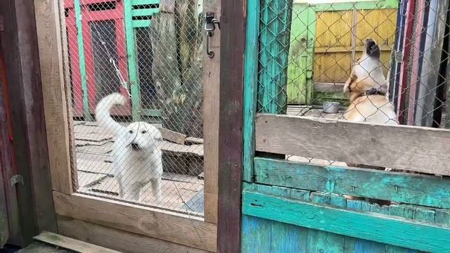 Акция "Милосердие без границ" смотреть онлайн