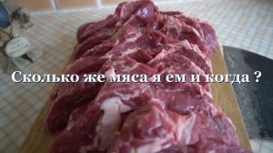 КАРНИВОР  -  кто это ?   Что он ест и сколько ?