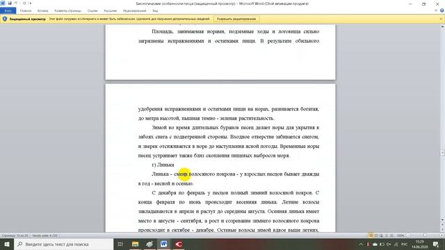 Биологические особенности сибирской популяции грибов рода Alternaria