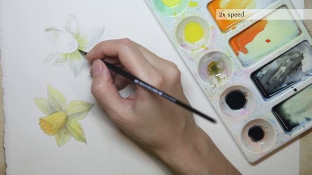 How to Paint Realistic Daffodils (Narcissus) Watercolor. Tutorial. смотреть онлайн