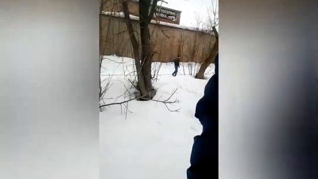 Бездомные собаки!!! г Иваново смотреть онлайн