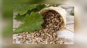 Ополаскиватель для полости рта из коры дуба!