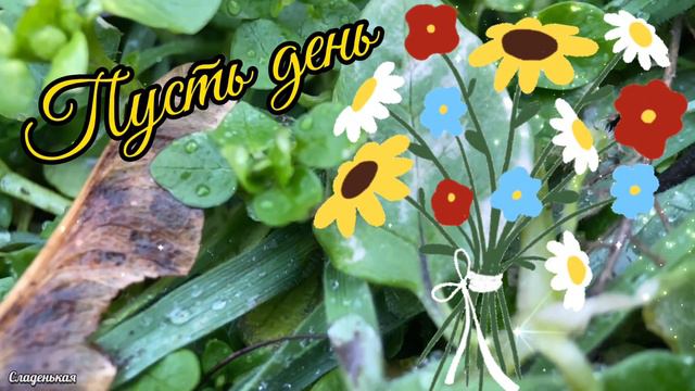 Доброе утречко! Великолепного настроения Пускай неделя дарит хорошие эмоции! Музыкальное пожелание