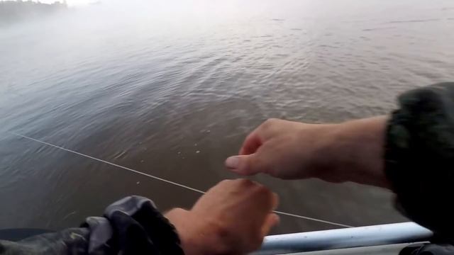 Как Поймать Крупный Трофей на Перемет! Выбор Места и Способ Постановки!!! смотреть онлайн