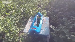 ОСЦИЛЛИРУЮЩИЕ ДОЖДЕВАТЕЛИ - КРУТОЙ ПОЛИВ для ДОМА И САДА Aquapulse и Gruntek