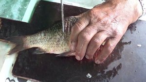 Готовим полуфабрикат из карася