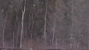 Сталинская Ж/Д дорога, Всё что от неё Осталось!!! (501 Стройка)Советуем его Посмотреть.