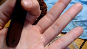 Клещ Варроа. Проверка пчел на заклещеванность. Срезаю трутня.