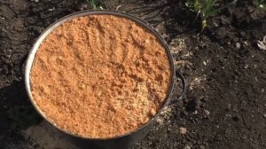 Поилка для Пчел из опилок Своими руками