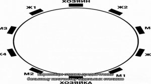 Как правильно рассадить гостей на банкете, свадьбе, юбилее, дне рождения, корпоративе: варианты
