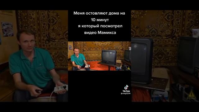 меня оставляют дома на 10 минут я который посмотрел видео мамикса