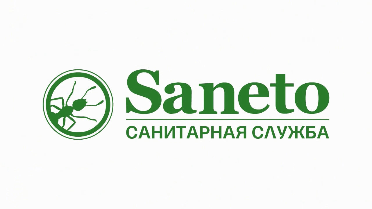 Анимация логотипа "Saneto"