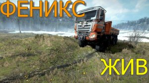 ФЕНИКС?ВОССТАВШИЙ ИЗ ПЕПЛА? ВСЁ, ЧТО НУЖНО ЗНАТЬ?ПОДПИШИТЕСЬ НА КАНАЛ❗НАЖМИТЕ КОЛОКОЛЬЧИК?