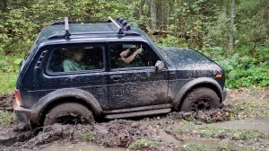 Нива БРОНТО. Лютое бездорожье. Поехали за грибами в дальний лес.